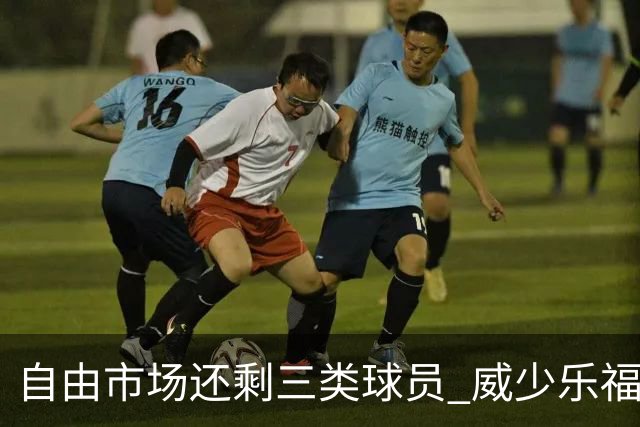 自由市场还剩三类球员 威少乐福领衔失业大军？